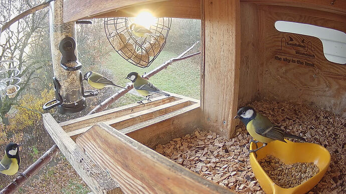 tf-20251116-075436-1763276076681-7.augenkohli