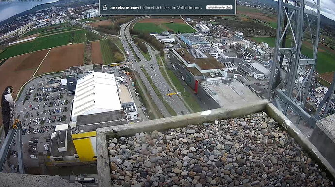 Snap_2023.03.24_13h18m50s_005_