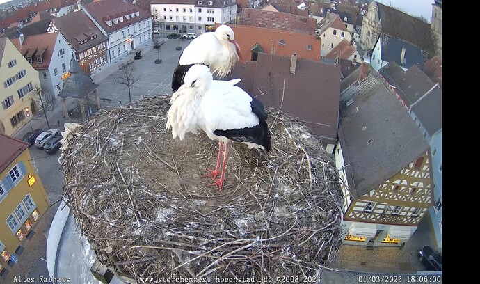 Bild
