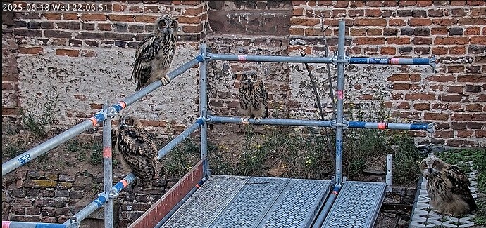 Screenshot 2025-06-18 220220