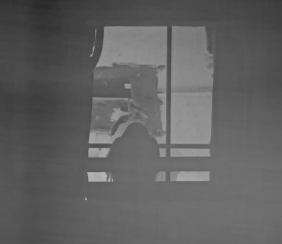 IMG_7850