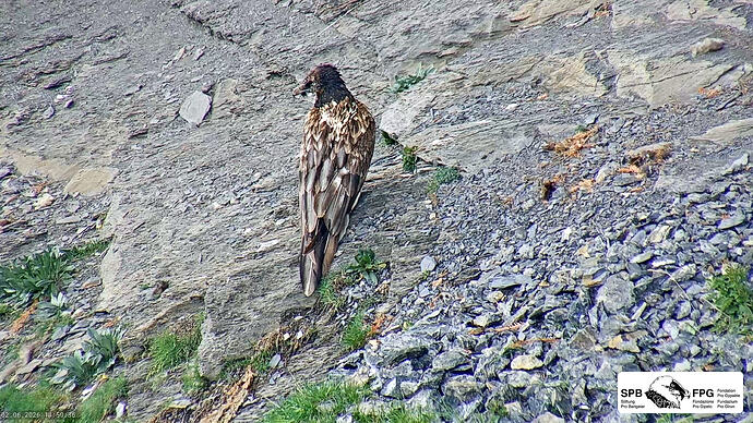 Bildschirmfoto vom 2026-06-02 14-50-19