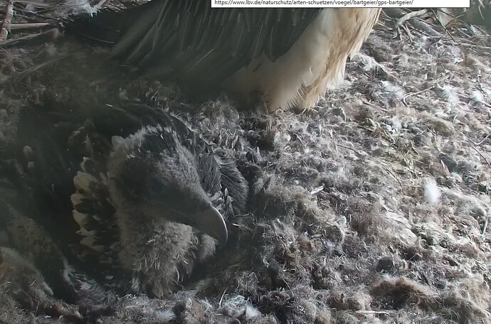 Wachwerden 1 07.05.24