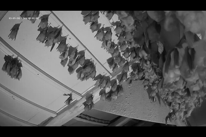 Screenshot (230)