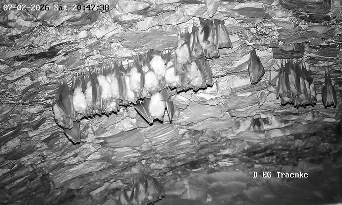 2026-02-7_10 ab 20.00  großer Cluster im Keller