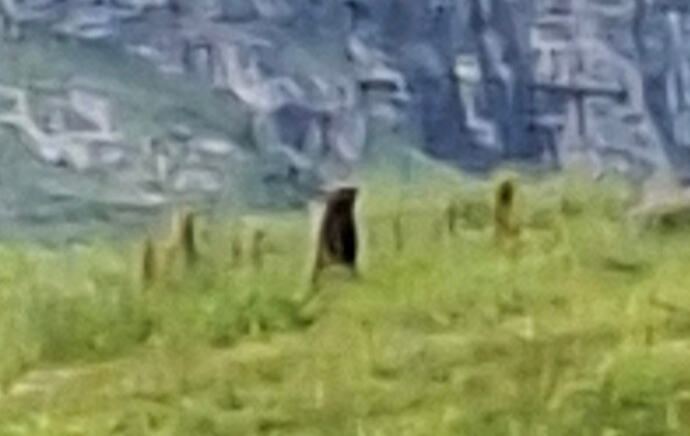 20260629_100703