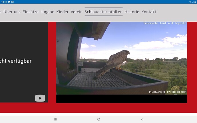 Screenshot_20230611-181524_Chrome