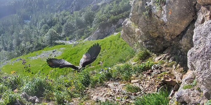 Screenshot_2025-06-26-06-59-01-351_com.android.chrome