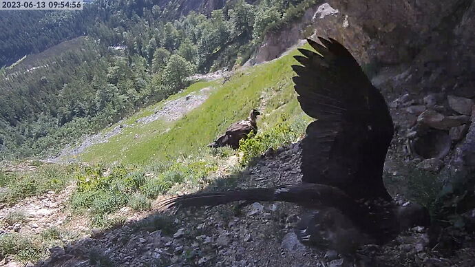 Snap_2023.06.13_09h55m27s_002_