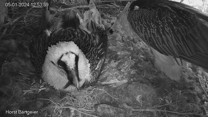 SnapShot-20240105_125355