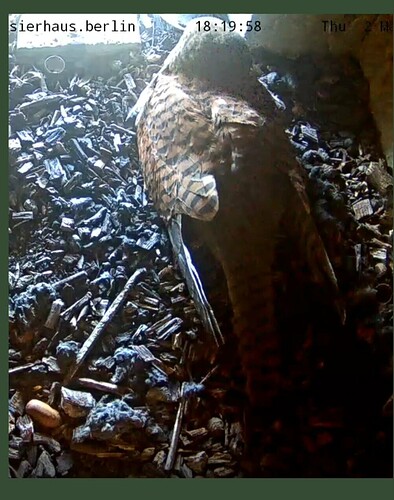 VideoCapture_20240502-222803