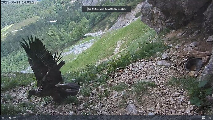 Screenshot (366)