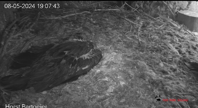 Screenshot_20240508_190848_Chrome