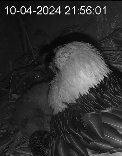 Screenshot_20240410-215614~2