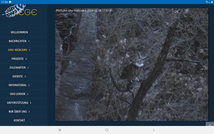 Screenshot_20240208-175414_Chrome