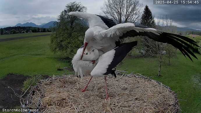 A_2025-04-25_15-54-46