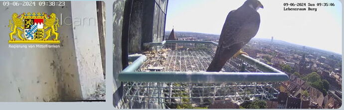 Snap_2024.06.09_11h21m33s_016_