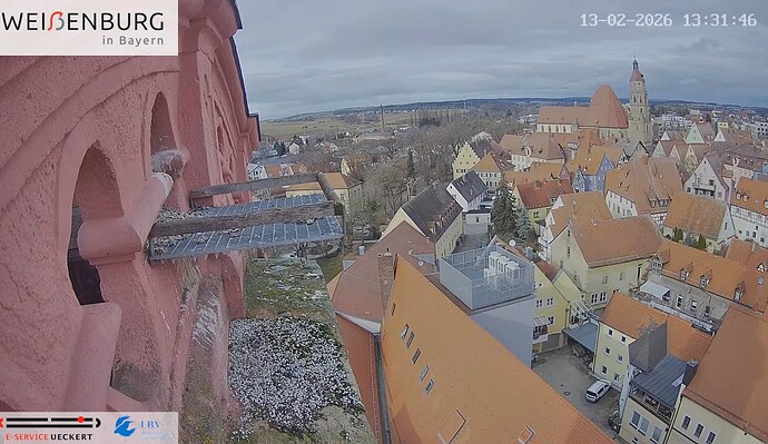 Screenshot_2026-02-13-13-31-54-837_com.google.android.youtube~2