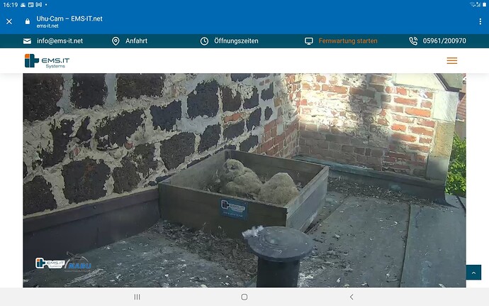 Screenshot_20230517-161927_Chrome