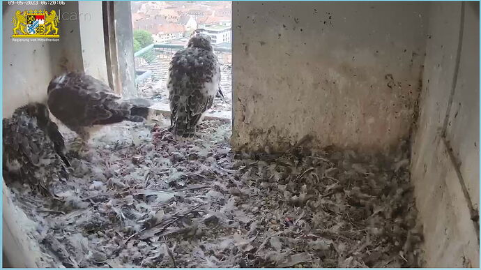 Snap_2023.05.09_06h20m35s_003_