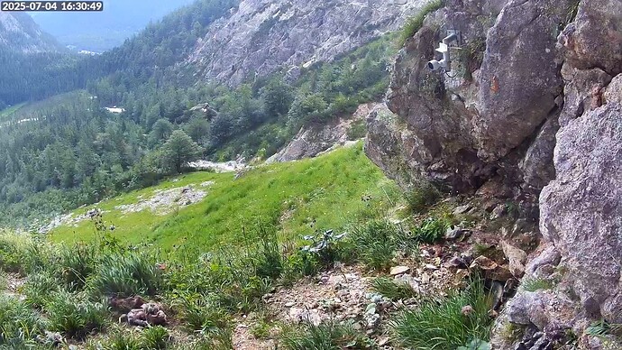 Bildschirmfoto vom 2025-07-04 16-31-16