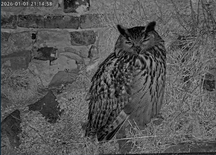 Screenshot_20260101_211537_Samsung Internet