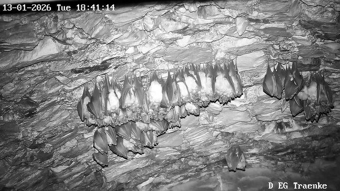 2026-01-13_8 ab 18.00 zwei Hufis IA