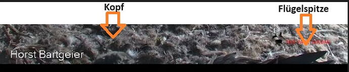 Snap_2024.05.08_18h45m26s_019_