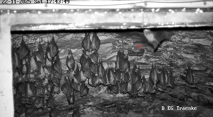 Vollbildaufzeichnung 22.11.2025 174403