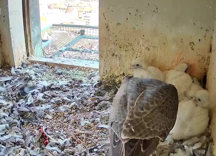 Screenshot_20230421-181511~2