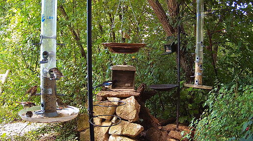 Snap_2024.07.21_10h43m13s_002_