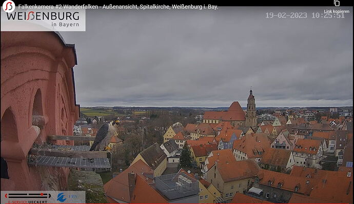 Snap_2023.02.19_10h26m04s_011_