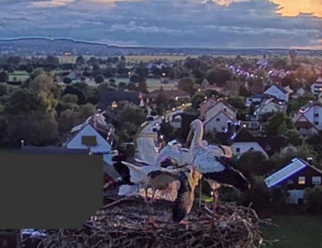 Screenshot_2025-07-21-21-34-24-356_com.android.chrome