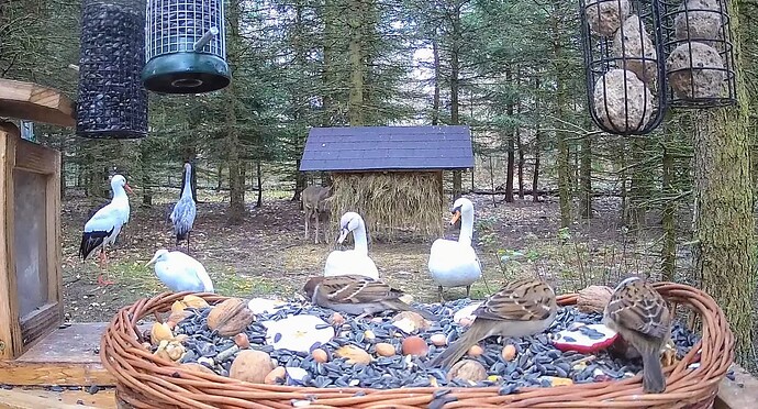 Screenshot_2023-11-24-08-05-56-732_com.google.android.youtube