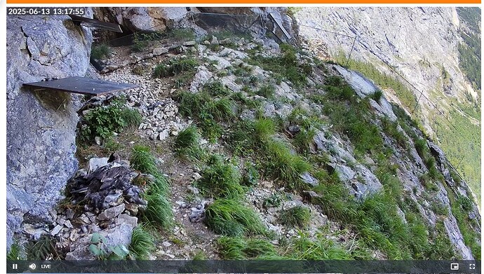 Screenshot 2025-06-13 131822