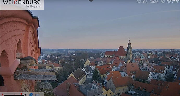 Snap_2023.02.22_07h18m38s_006_