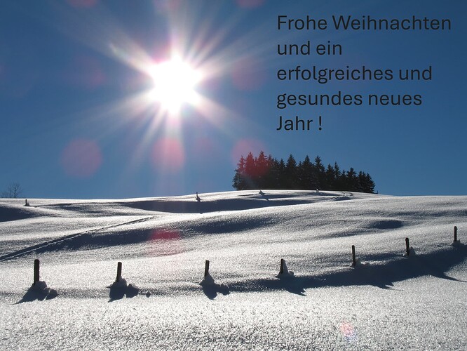Weihnacht und N jahr 2024 25