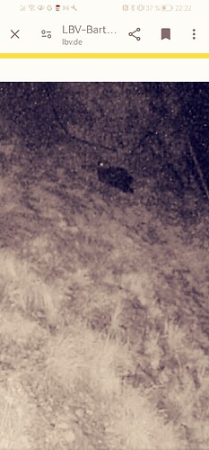 Screenshot_20240601_222349