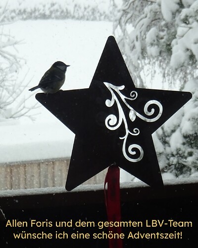 Collage_2023-12-03_09_07_56