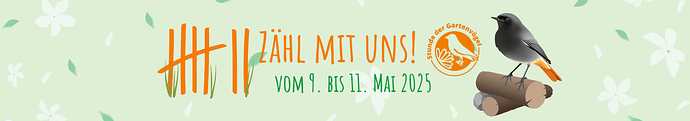 SdX 2025 Titelbild