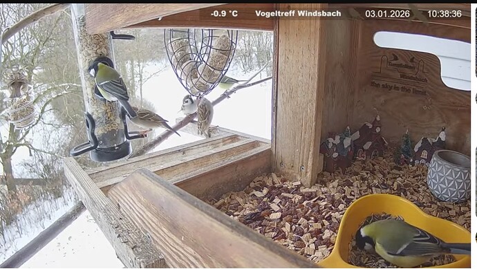 Screenshot_20260103-103854~2