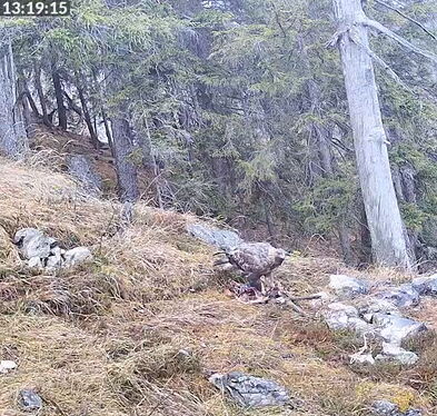 Snap_2025.12.17_13h19m47s_005_