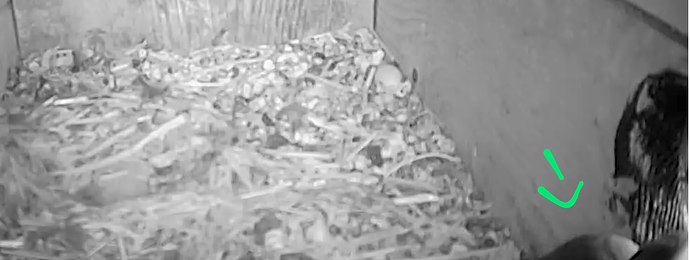 Screenshot_20250712-181756~2