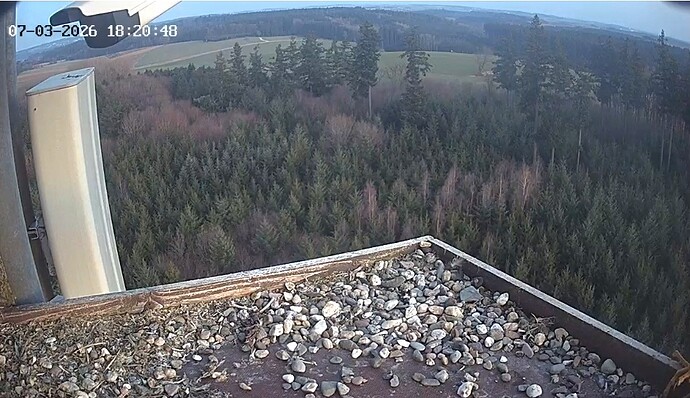 Screenshot_20260307_182041_Chrome