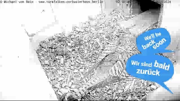 Screenshot_20240501-083019_Chrome