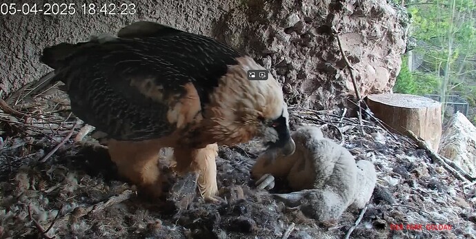 Mascha und Barti 05.04.25