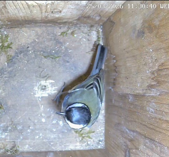 Screenshot_2026-03-25-10-31-03-145_com.android.chrome~2