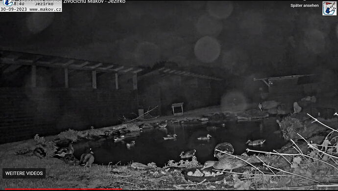 Snap_2023.09.30_09h23m12s_002_