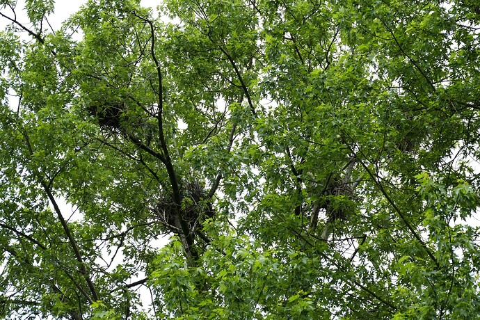 P1750854
