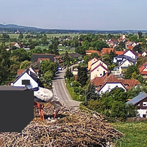 Screenshot (14868)